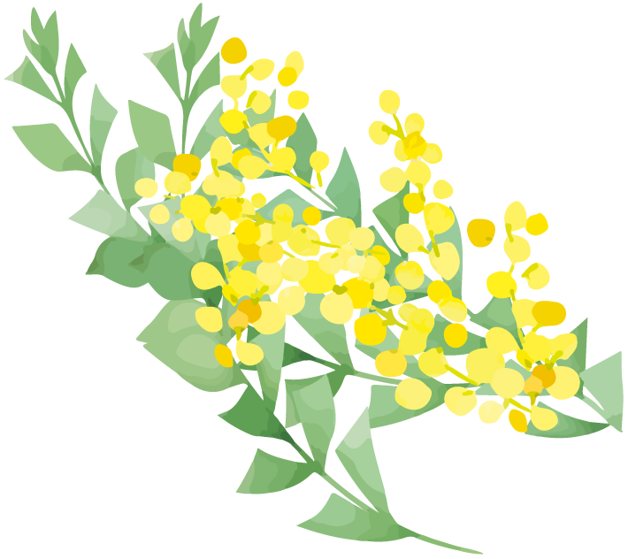 黄色い花