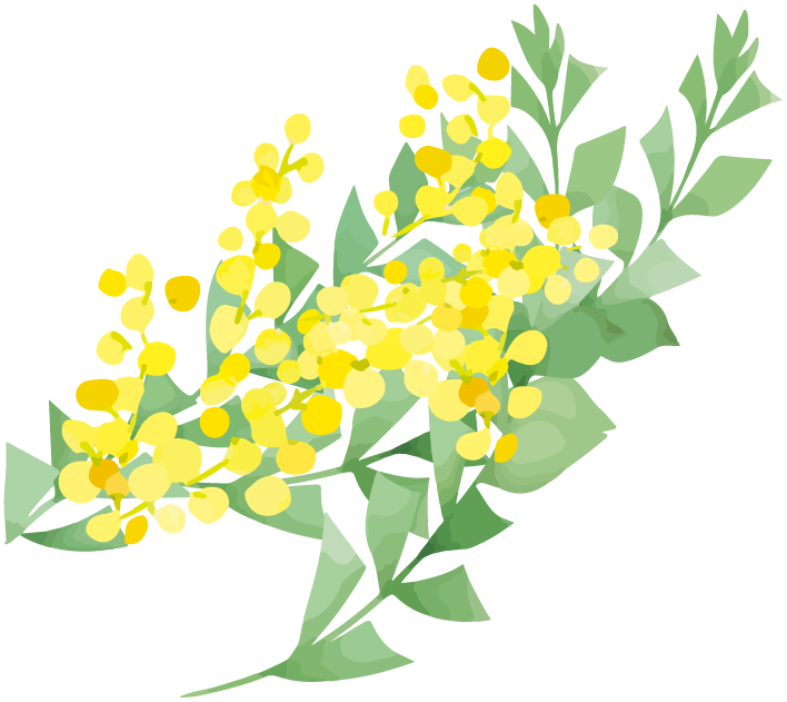 黄色い花
