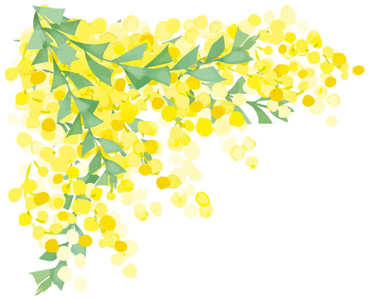 黄色い花
