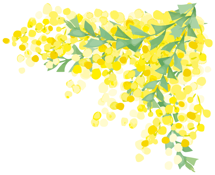 黄色い花