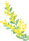 黄色い花